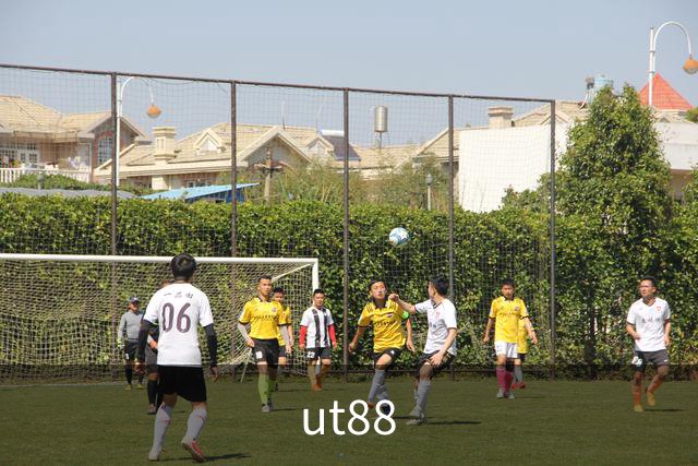 ut88公司简介图片